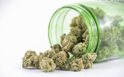 Key Benefits of Shopping at a Cannabis Dispensary Los Angeles County CA Near You