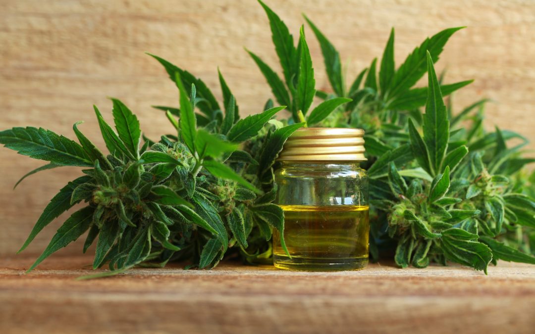 Save Time and Stay Home with an Online Cannabis Shop in Ypsilanti MI Service